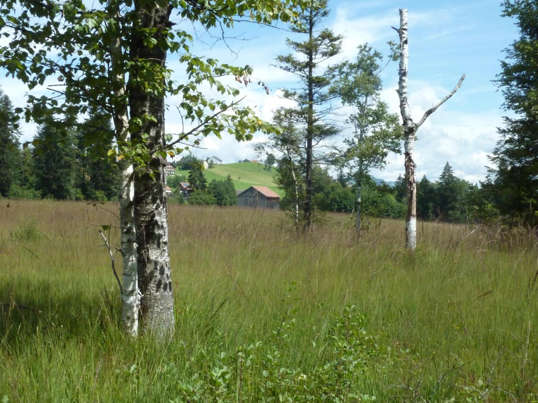 Naturparadies Silvia Alberschwende Luaran gambar