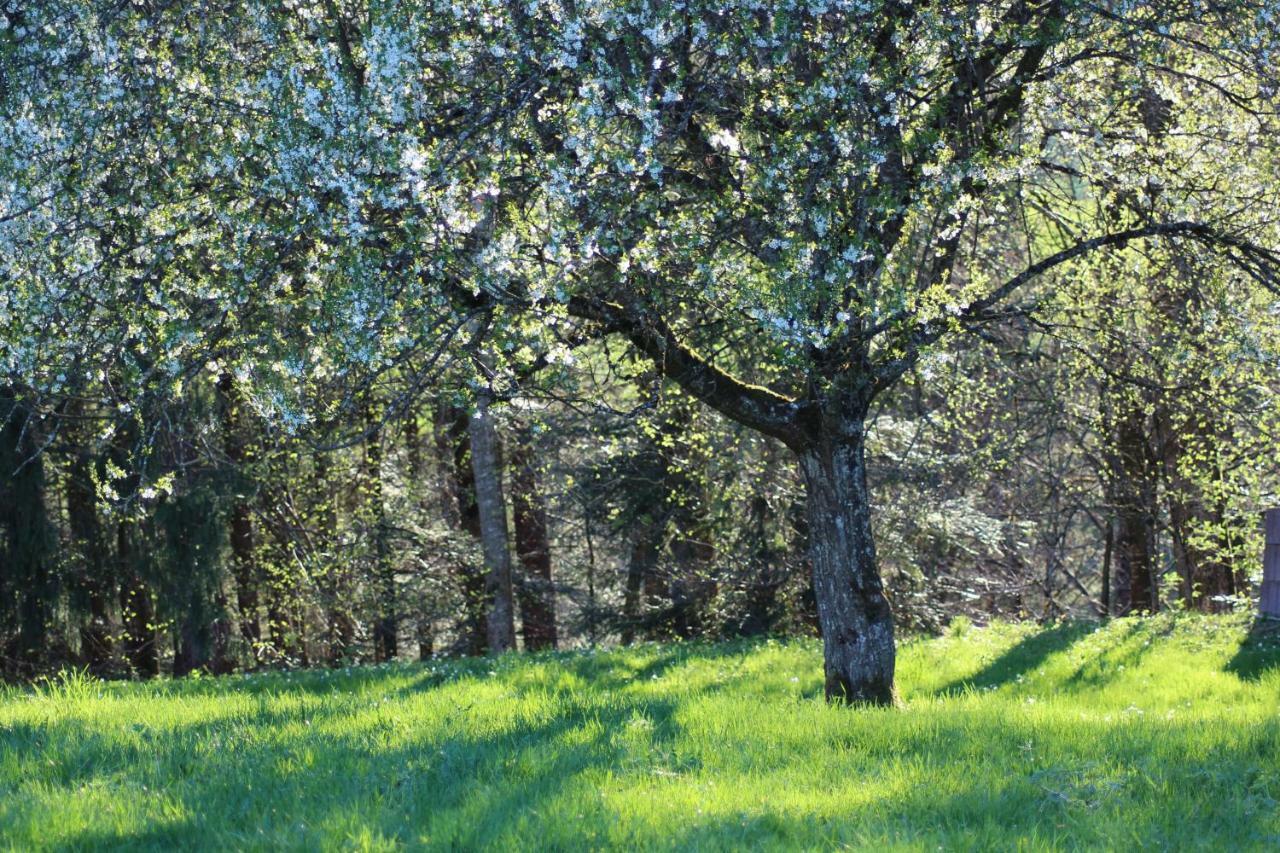 Naturparadies Silvia Alberschwende Luaran gambar