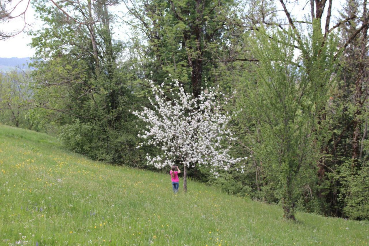 Naturparadies Silvia Alberschwende Luaran gambar